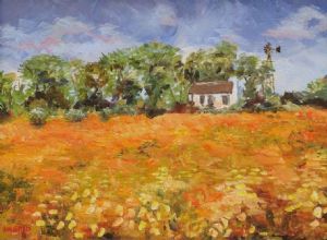 "Namaqualand flowers"