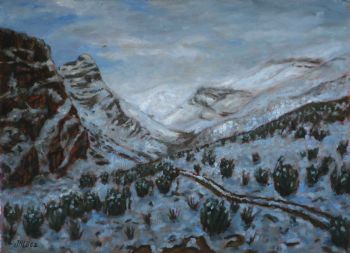 "Sneeu op Matroosberg / Snow on Matroosberg"