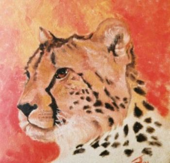 "cheetah"