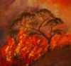 "Veld Fire"