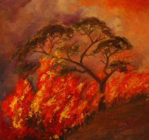 "Veld Fire"