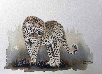 "WC Leopard"