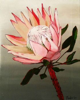 "Protea"