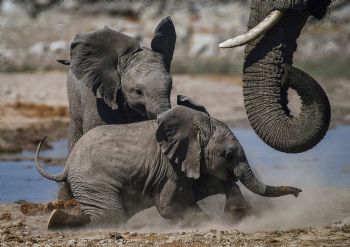 "Baby Play"