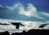 "African Black Oystercatchers and Wave."