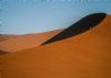 "Dune Strollers"