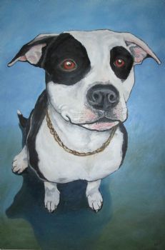 "Pit Bull"