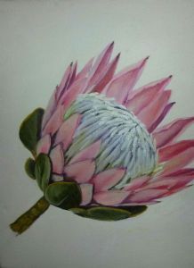 "Protea"