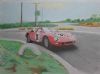 "Ferrari 275 LM at Daytona"