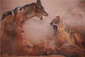"Fighting for Supremacy"