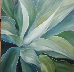"Agave"