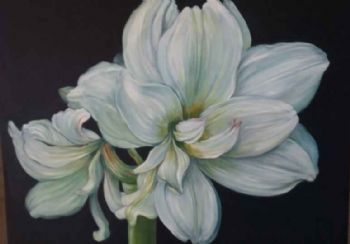 "Amaryllis"