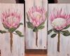 "Proteas on Wood - set of 3 "