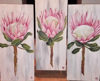 "Proteas on Wood - set of 3 "