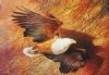 "Cliff Hanger - Fish Eagle"