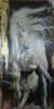 "White Horse Rearing Up"