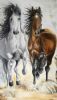 "White and Brown Horse"