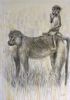 "Baboon Mother and Infant"