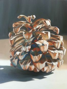 "Pine Cone"