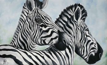 "Zebras"