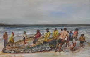 "Yellow Tail Fish Hoek"