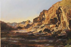 "Karoo Beauty - Geelbek River Bed"
