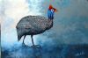 "Guinea Fowl #2"