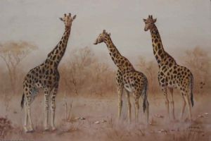 "Giraffe's"