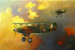 "SAAF Hawker Hartbeest"