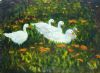 "Ducks in a Calendula Garden "