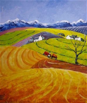 "Canola Fields"