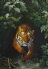 "Tiger"