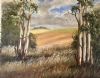 "Sun Kissed Overberg"