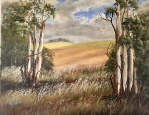 "Sun Kissed Overberg"