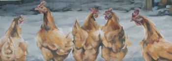 "Chichens in the Snow"