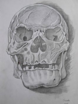 "Skull"