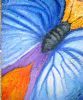 "Blue Butterfly"