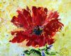 "Red Poppy"