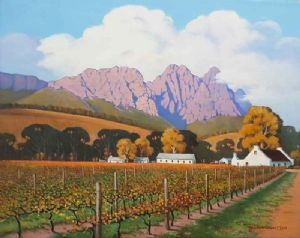 "Jonkershoek Vineyards, Stellenbosch"