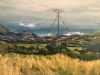 "Telephone Pole near Clarence in the Free State"