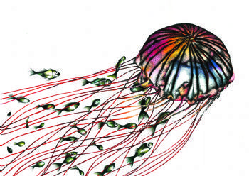 "Jelly Catching Dinner"