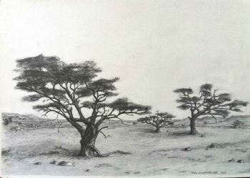 "Karoo Survivors"