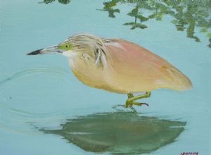 "Squacco Heron at Lake Panic"