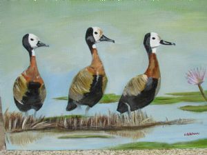 "3 White Faced Whistling Ducks"