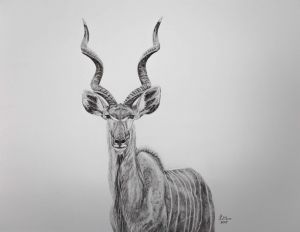 "Kudu"