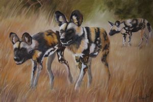 "African Wild Dogs"