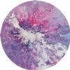 "Pink Galaxy"