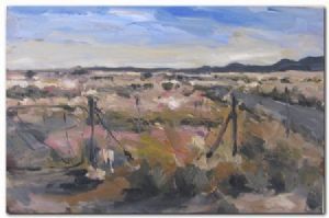 "Noord-kaap"