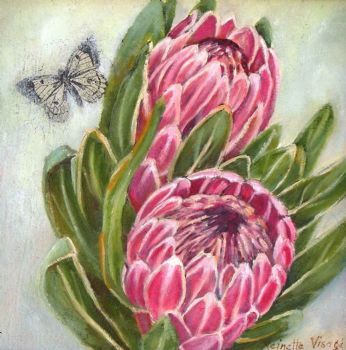 "Two Proteas Iii"