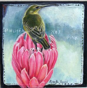"Sugarbird on Protea Vi"